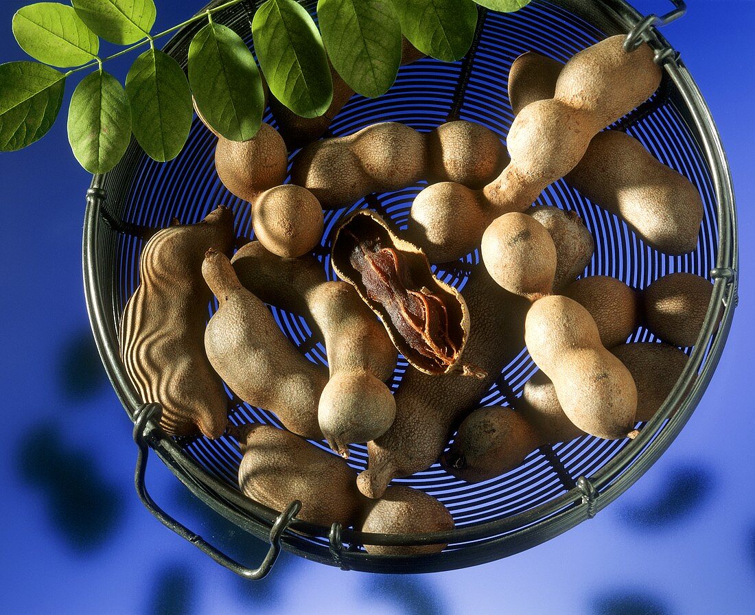 Several Tamarind