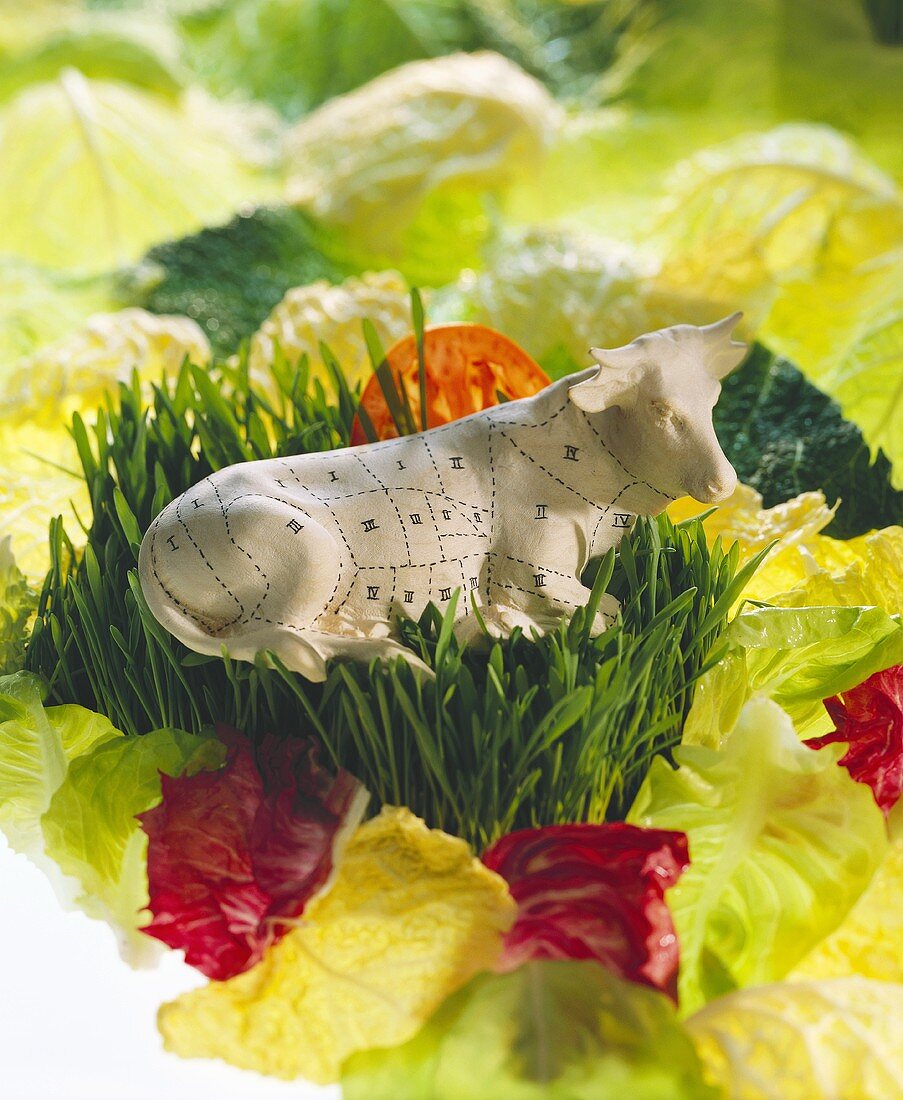 Rinderfigur mit gezeichneten Aufteilungsfeldern auf Salat
