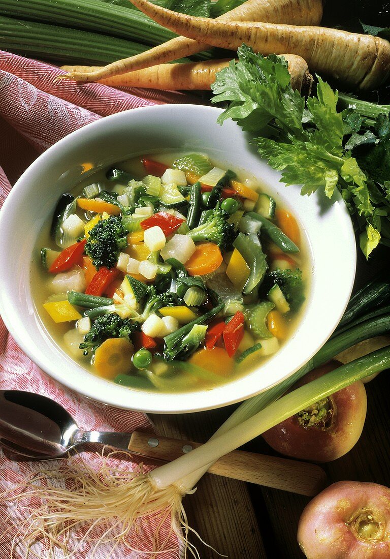 Gemüsesuppe aus vielen Gemüsesorten