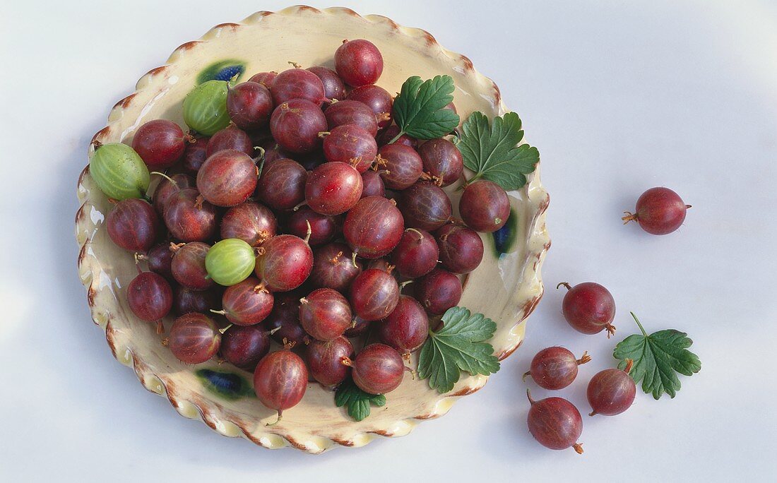 Red gooseberries & three green ones with leaves on plate