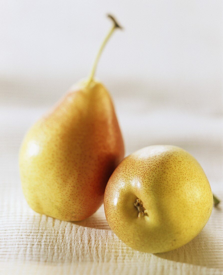 Two whole yellow & red pears, one lying, one standing up