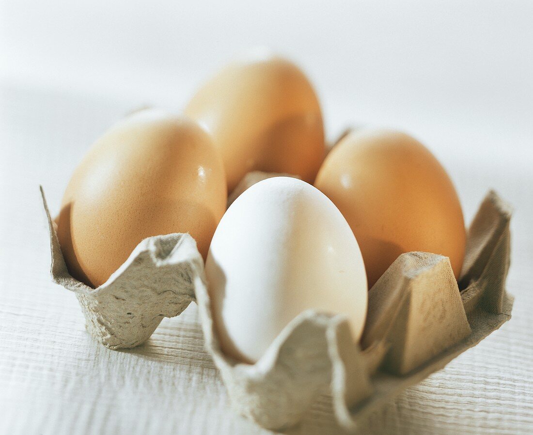 Drei braune Eier & ein weisses Ei in einem Eierkarton