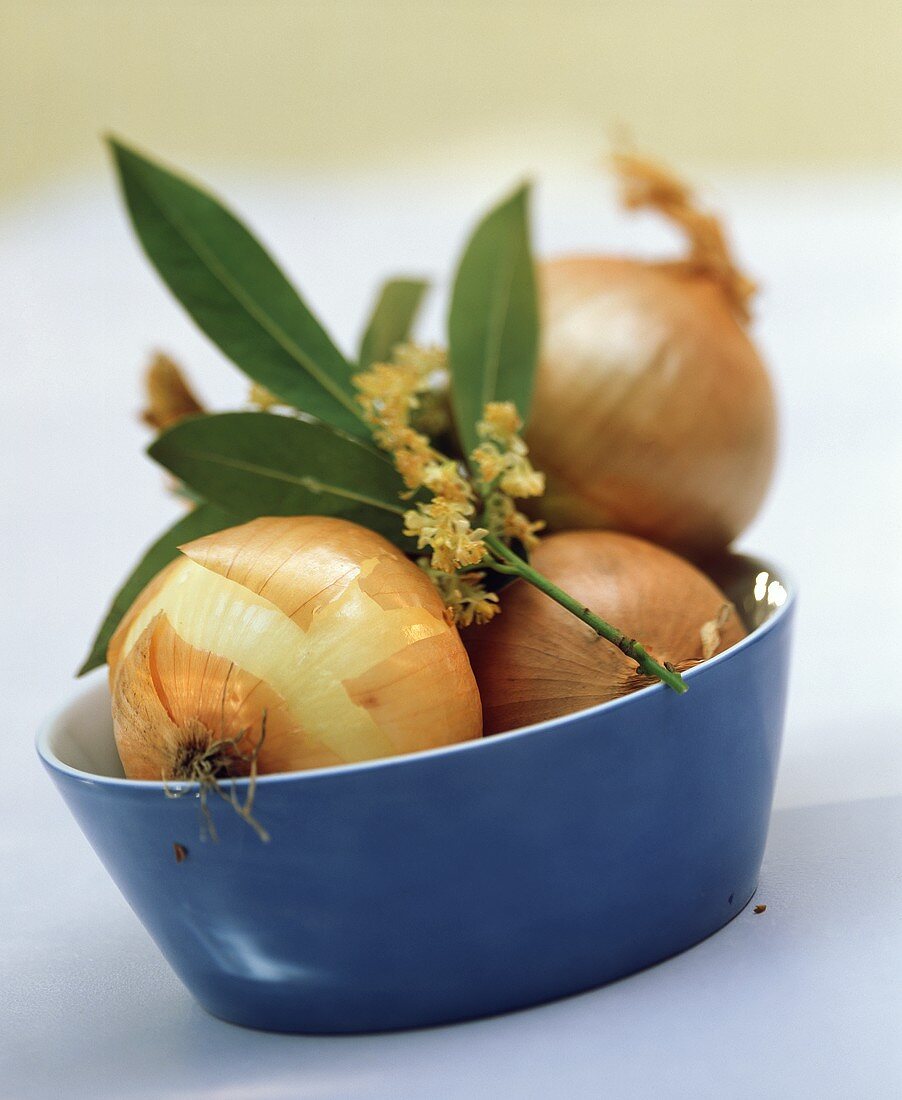 Onions with bay sprig in blue bowl