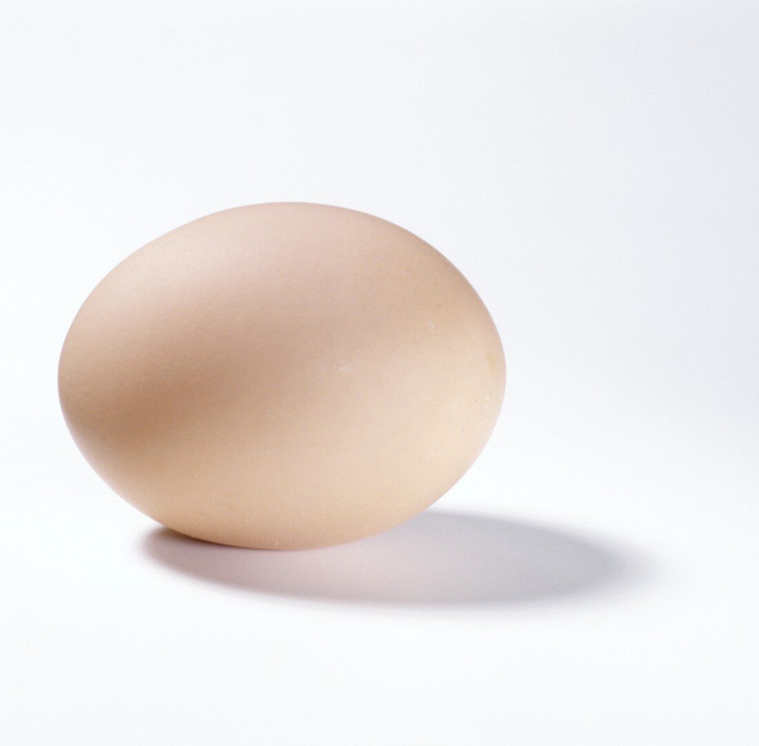 Ein braunes Ei auf hellem Untergrund