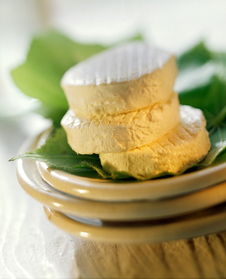 Three goat's cheeses on green leaves on pile of plates