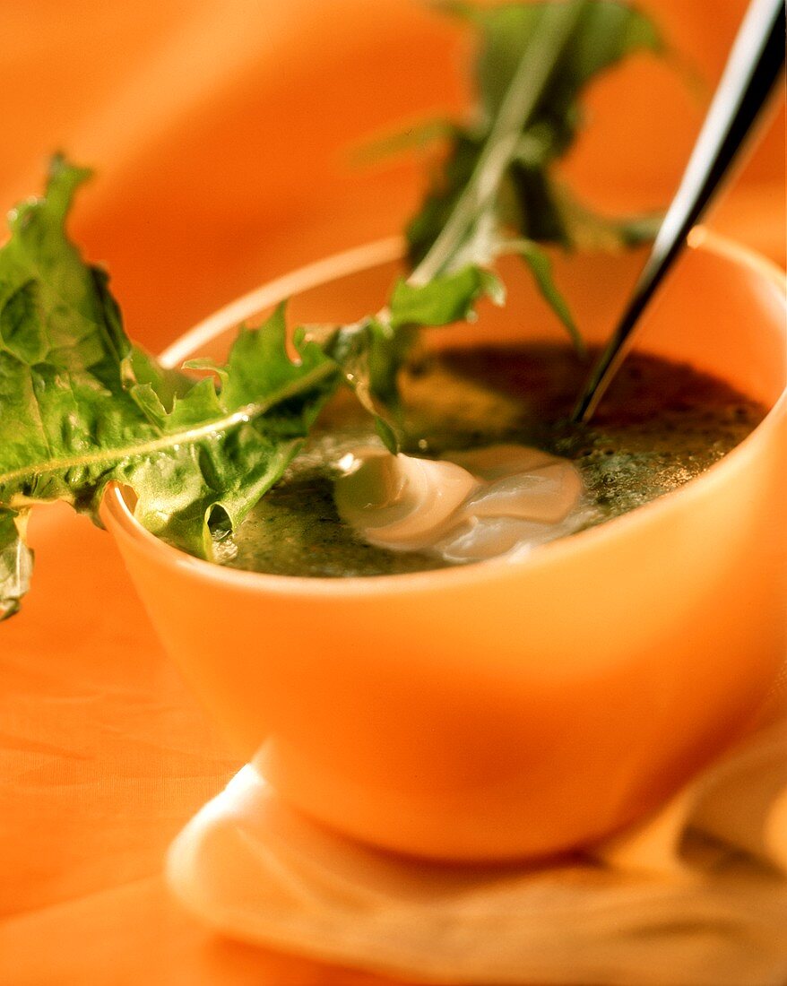 Broad bean soup with dandelion in orange bowl