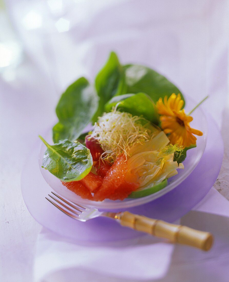 Grapefruit-Zwiebel-Salat auf Spinat mit Fenchel, Sprossen