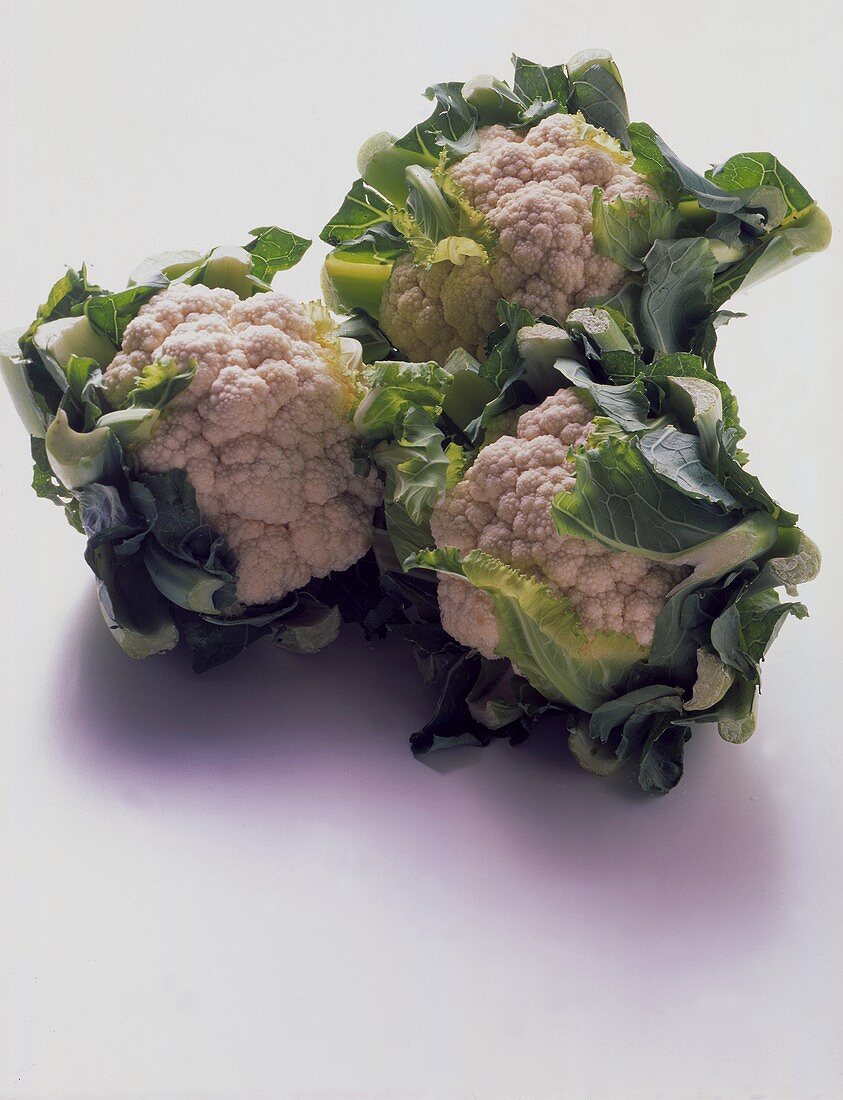 Three cauliflowers on white background