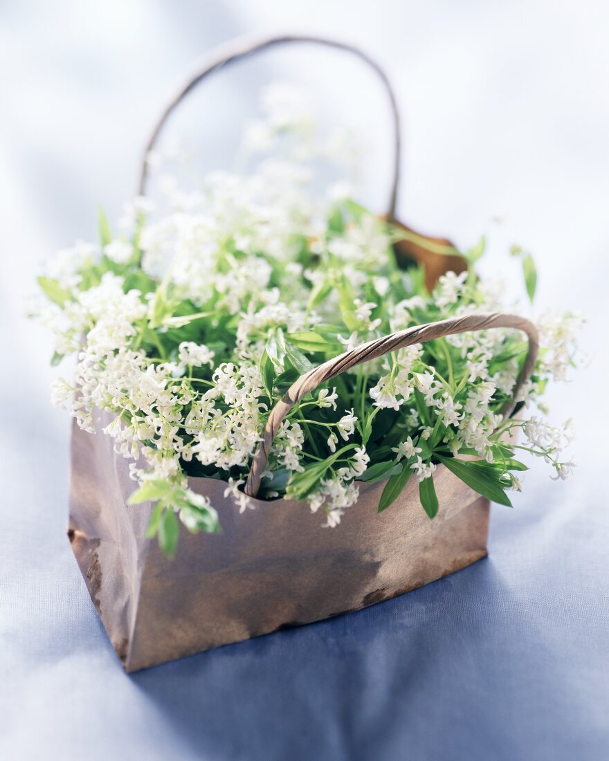Woodruff with flowers in a paper bag