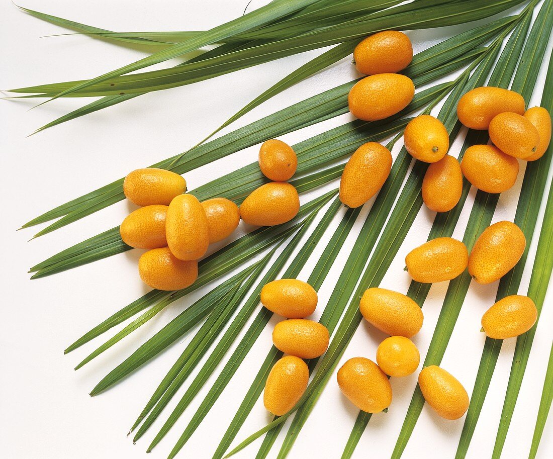 Lots of whole kumquats on a palm leaf
