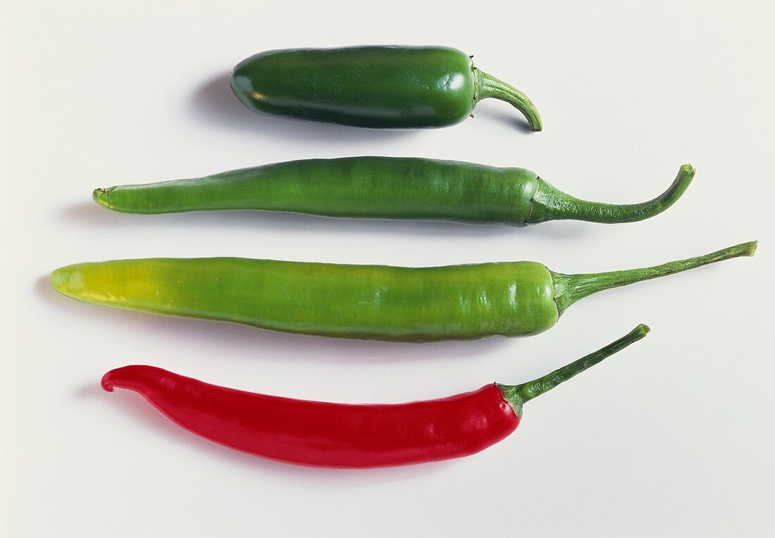 Various chili peppers (three green, one red)