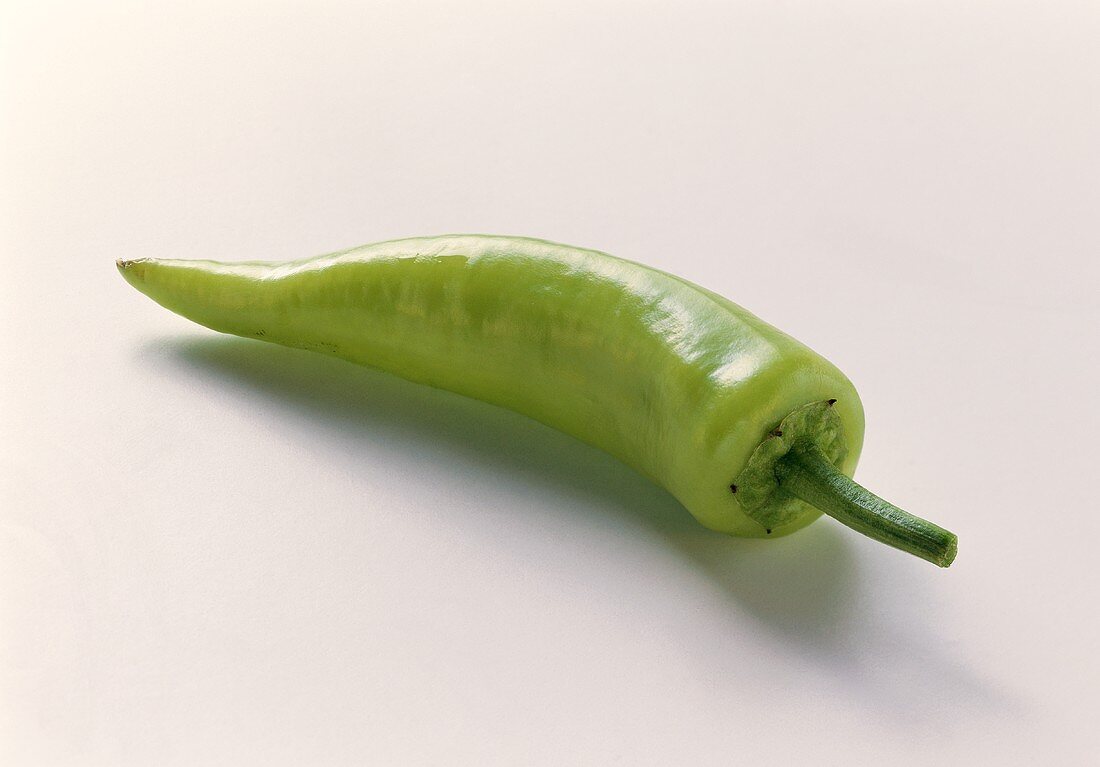 A long green pepper on white background