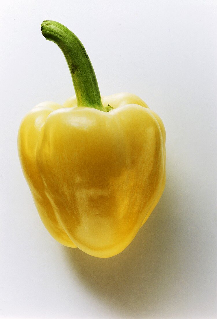 A pale-yellow pepper