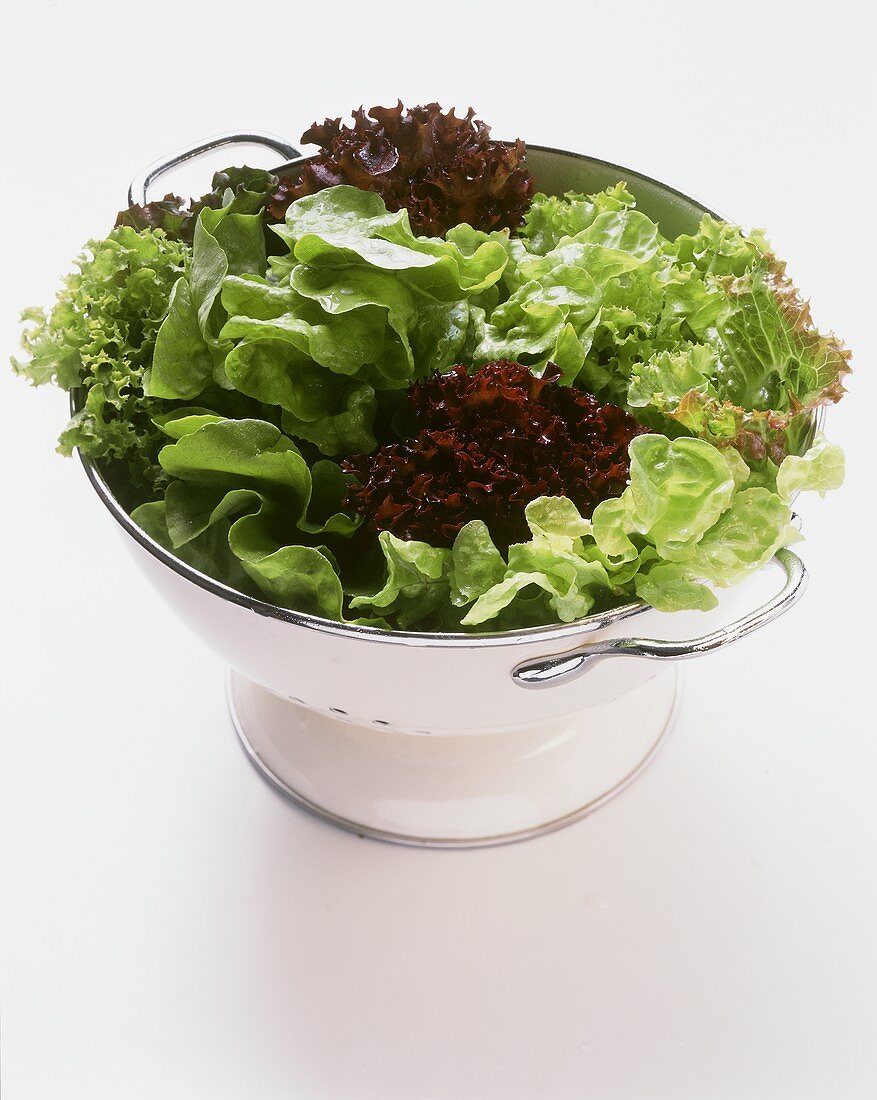 Assorted Lettuce in a Strainer