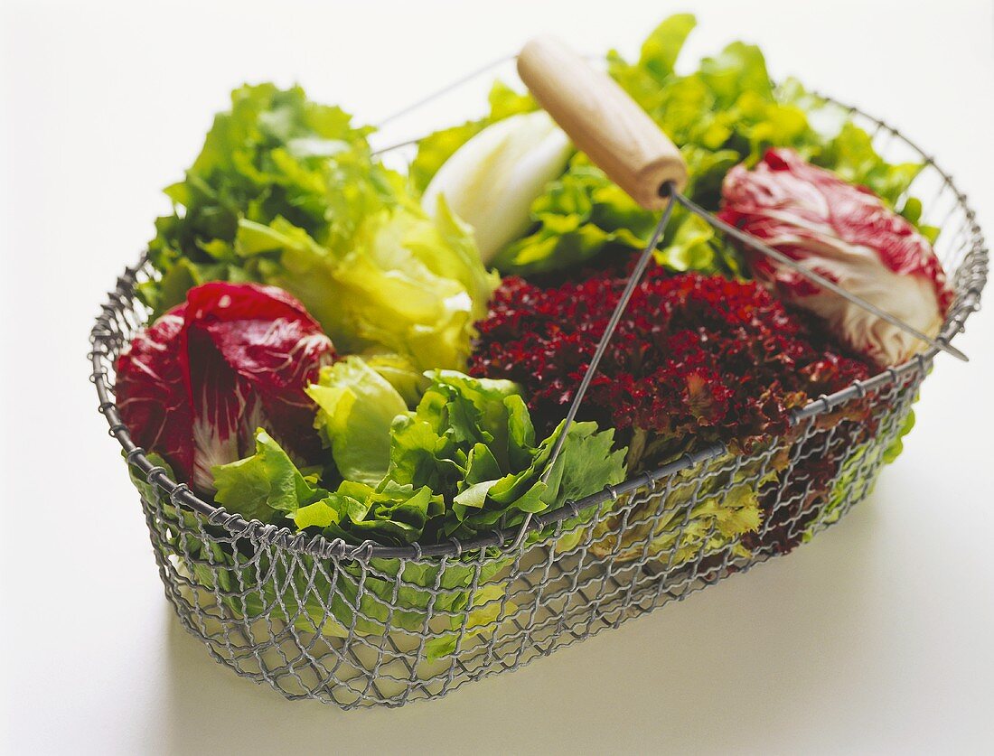 Several lettuces in a wire basket