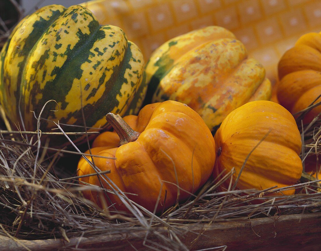 Various pumpkins on straw in a wooden receptacle