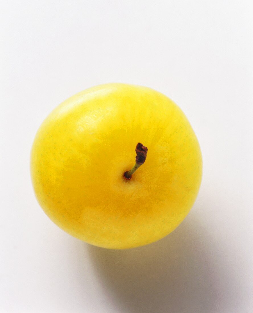 Eine gelbe Pflaume (Oberseite) auf weißem Untergrund