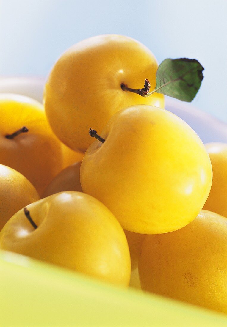 Several yellow plums with stalk, one with leaf