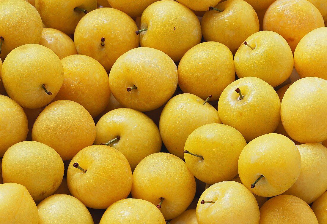 Many Yellow Plums