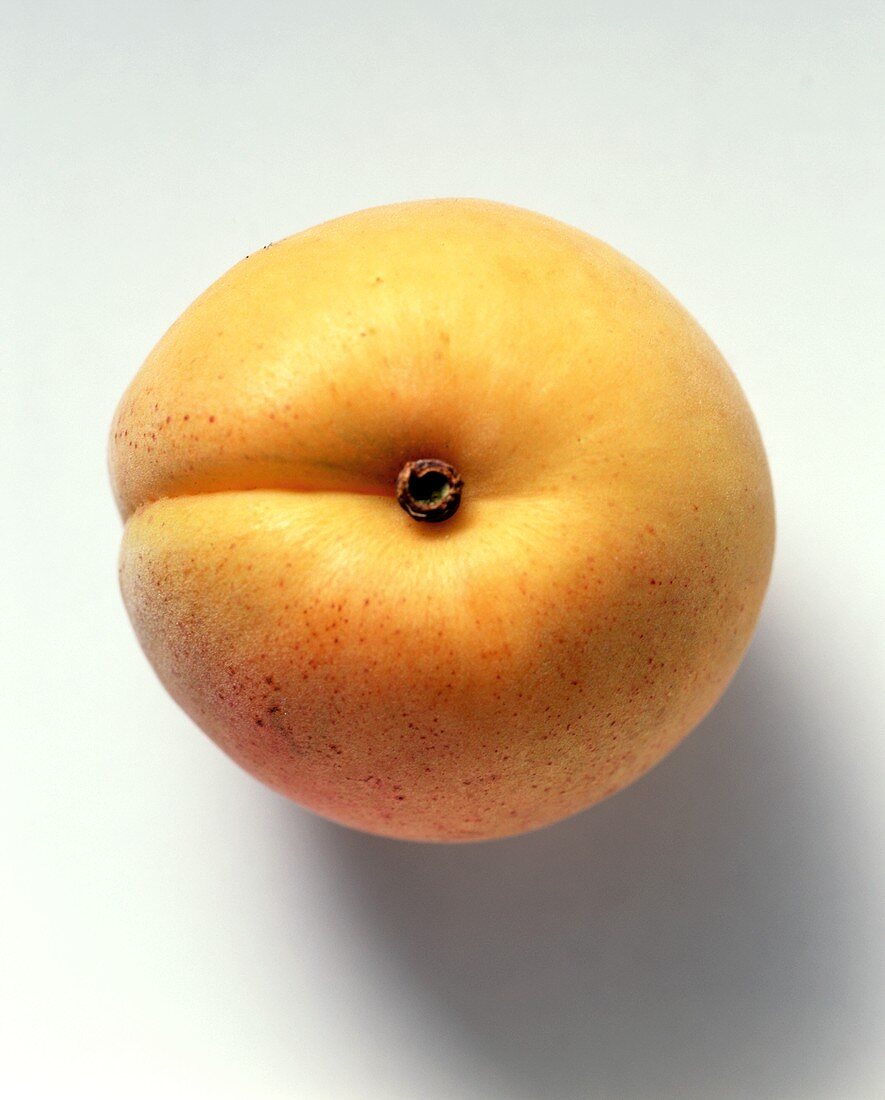 A Single Apricot from Overhead