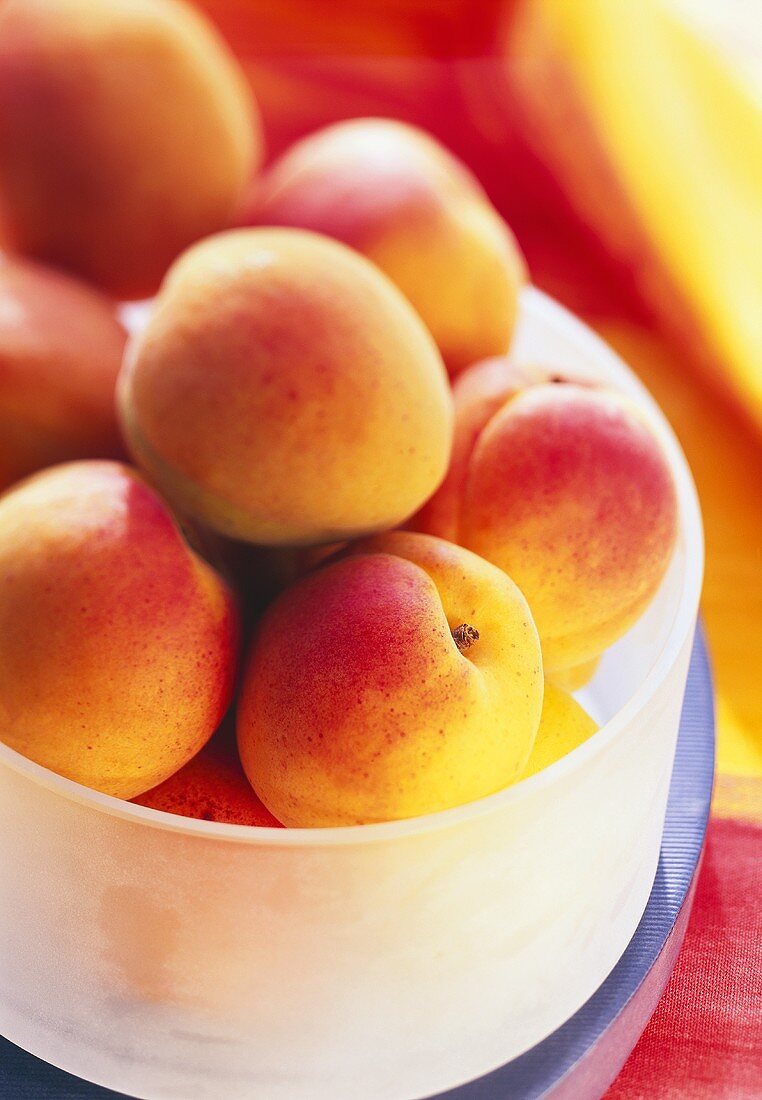 Apricots in a Container