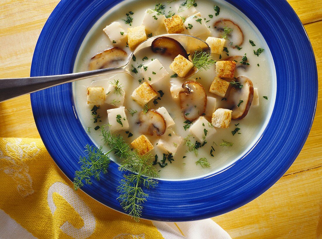 Thick Chicken Soup with Croutons and Mushrooms