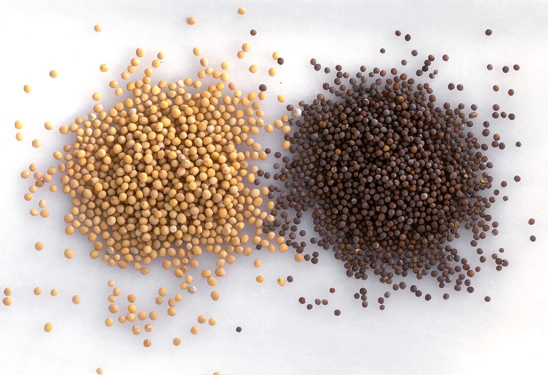 Whole white & brown mustard seeds on light background