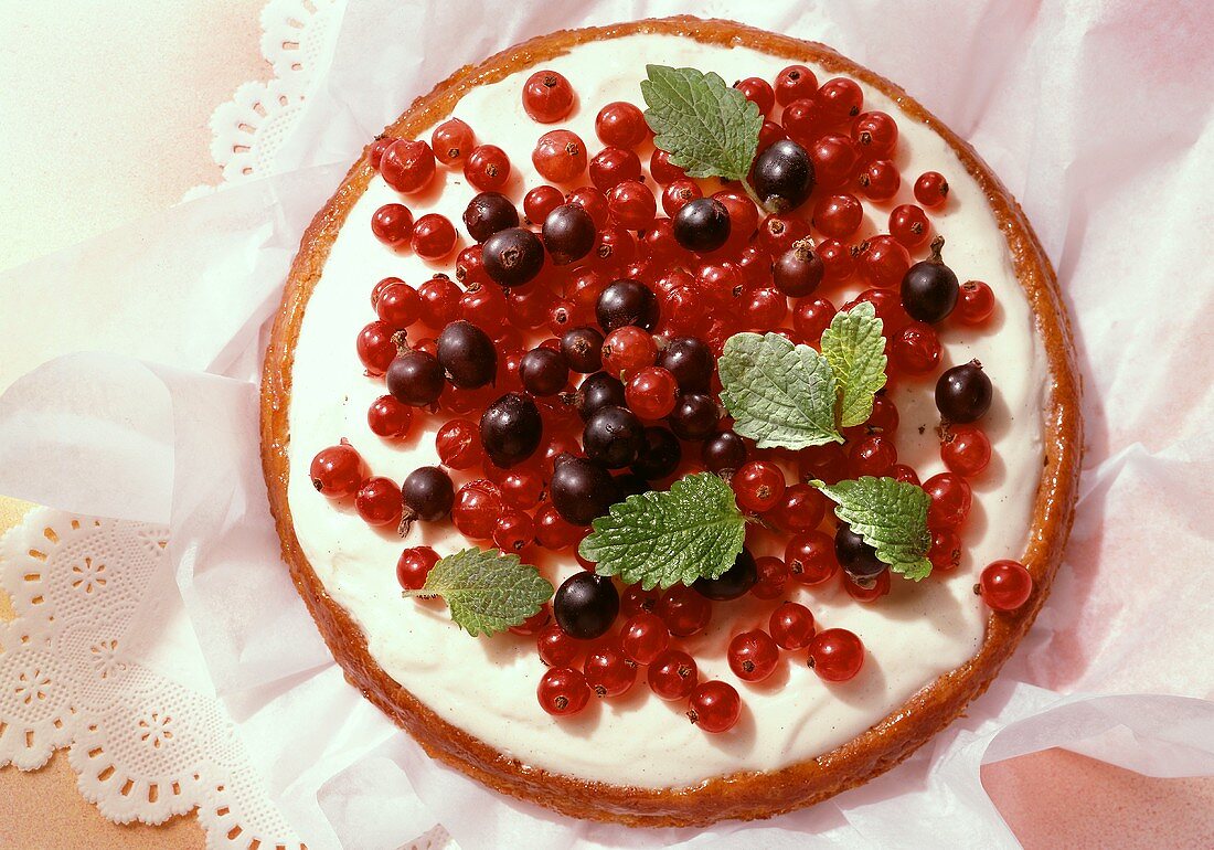 Redcurrant tart with vanilla cream