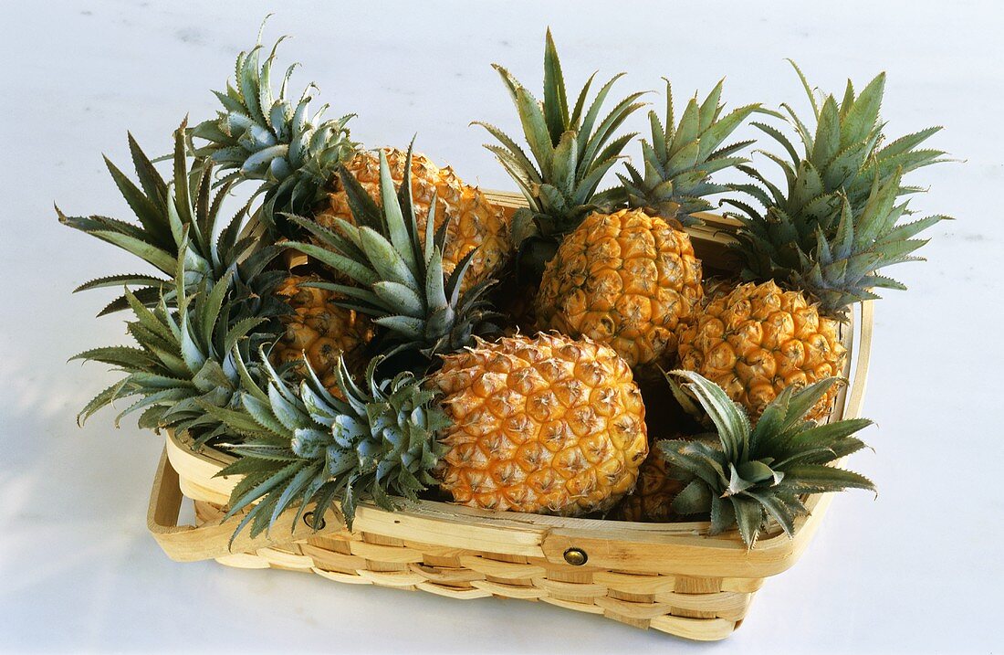 Mehrere Ananas in einem Korb