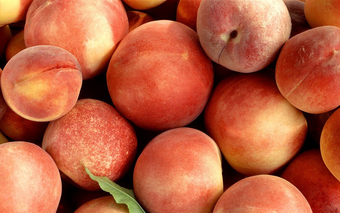 Lots of peaches, various varieties (close-up)
