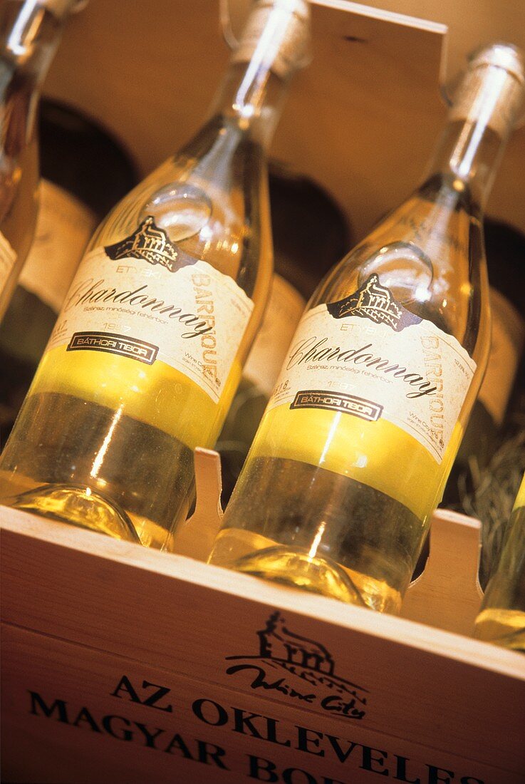 Chardonnay-Flaschen aus Ungarn im Weinregal
