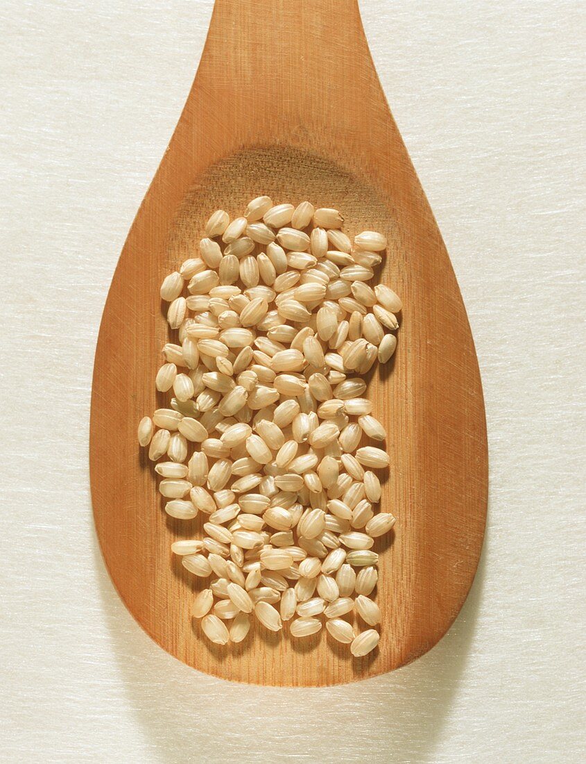 Calasparra rice on a wooden spoon