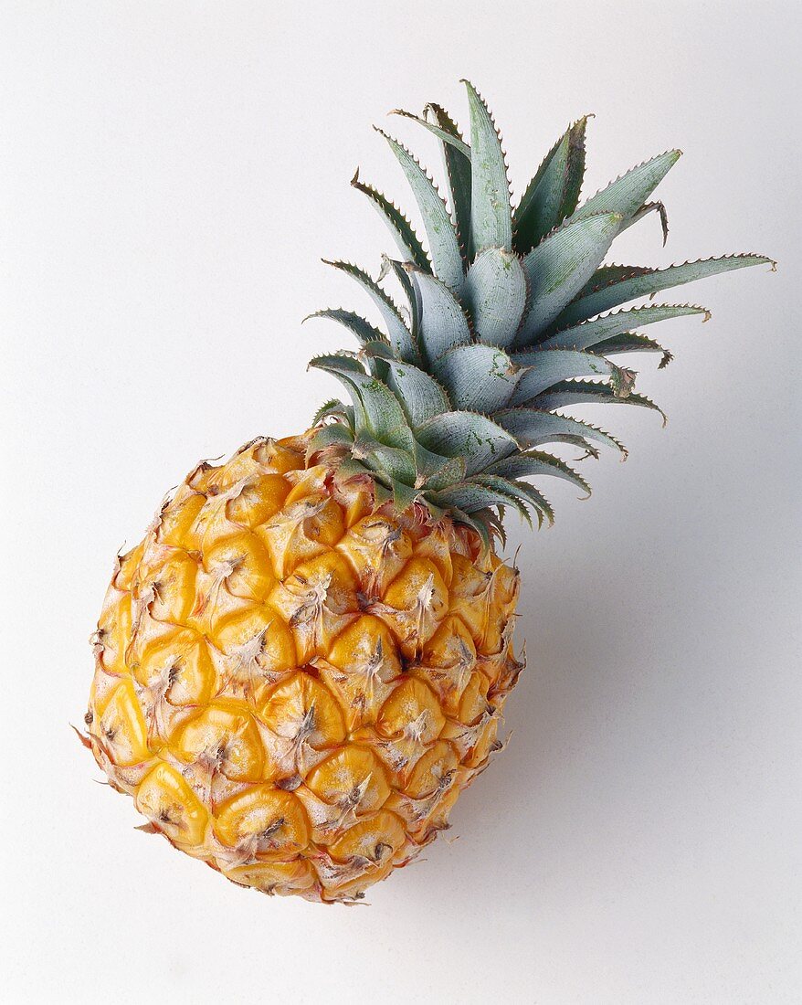 Eine Ananas auf hellem Untergrund