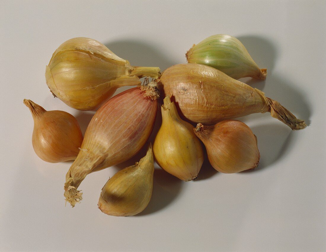 Several shallots on light background