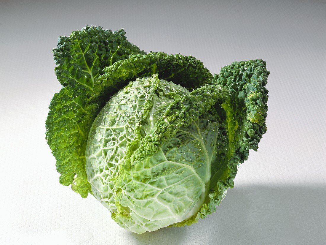 A savoy cabbage with drops of water on a light background