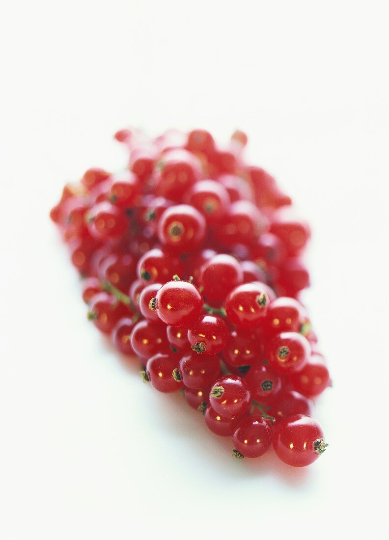 Red currants on white background