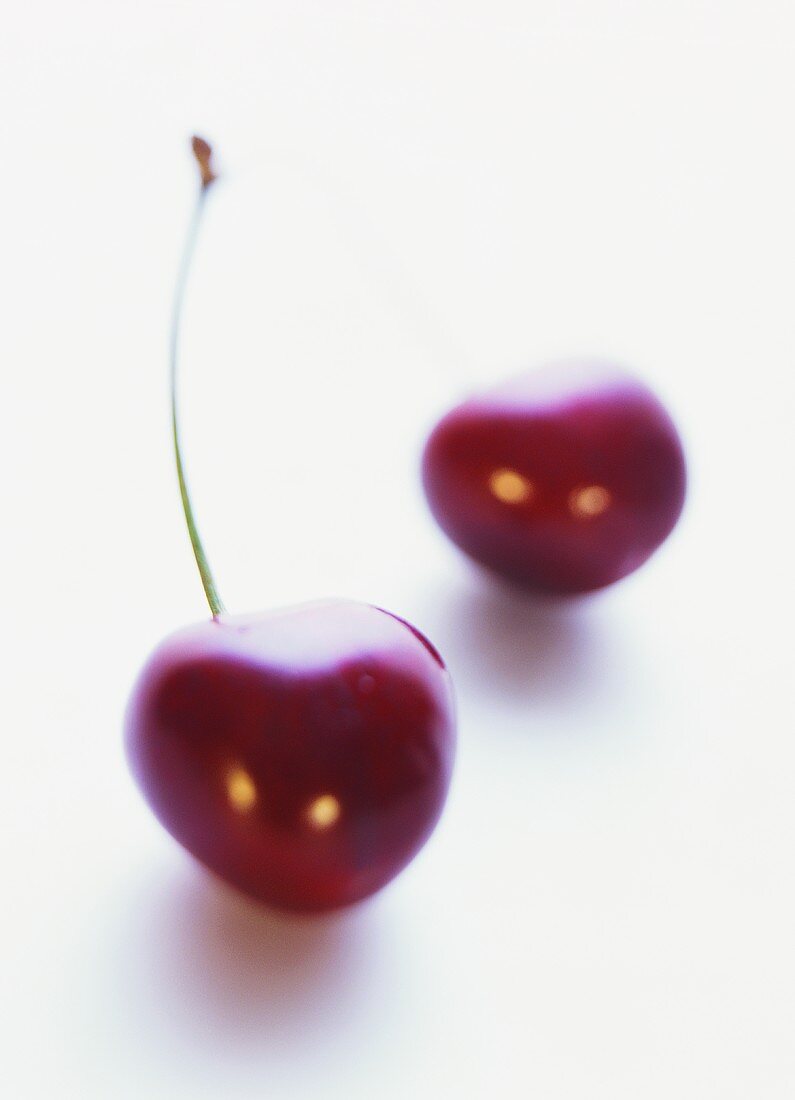 Two cherries on white background