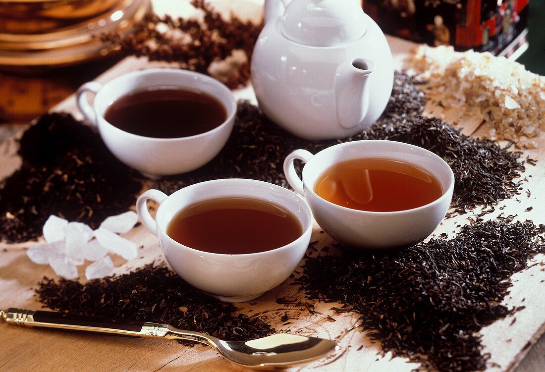 Drei Schwarztees in Tassen zwischen Teeblättern und Kandis