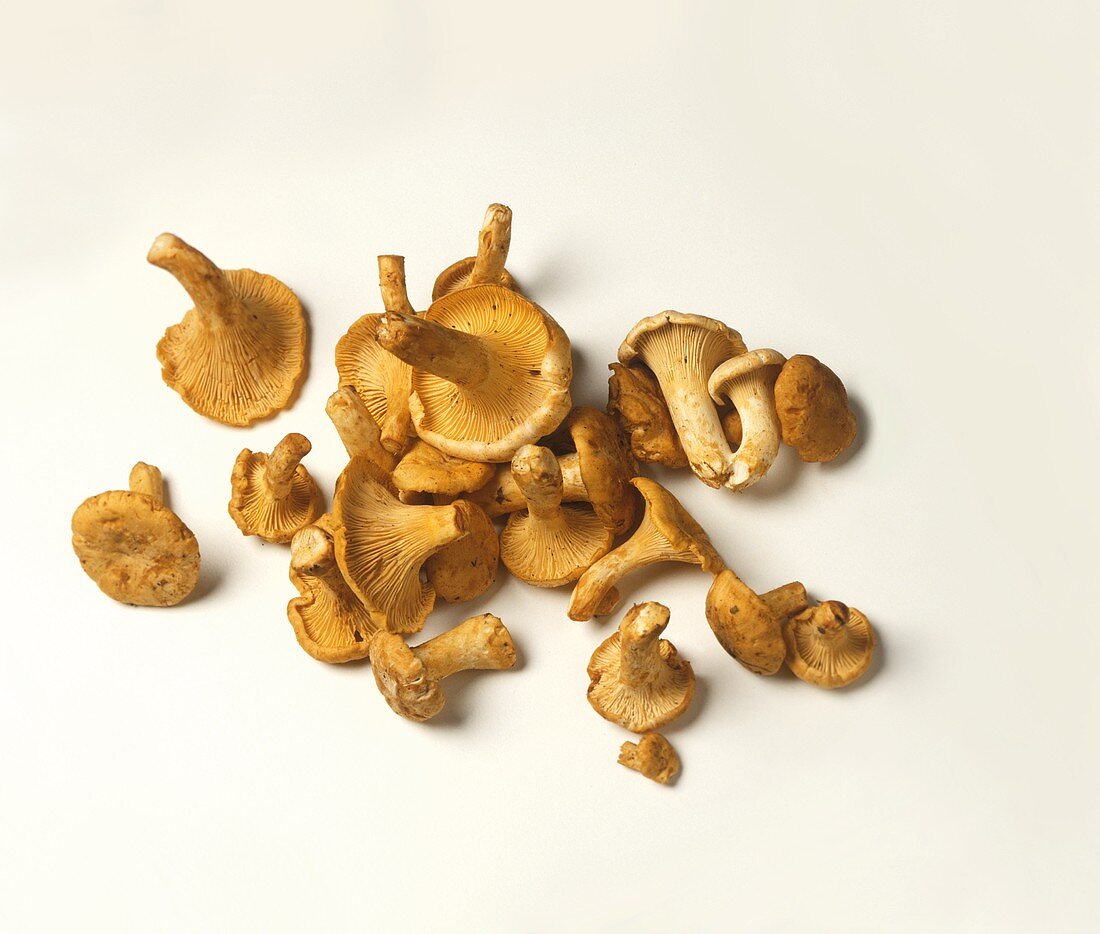 Chanterelles