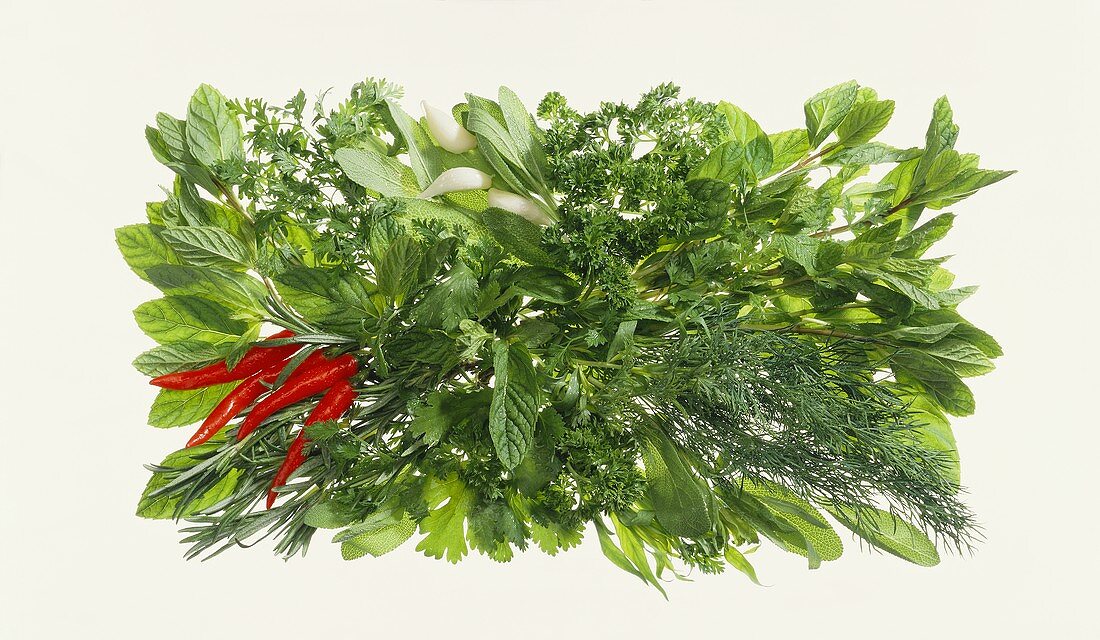 Herb arrange with chili peppers in rectangular dish