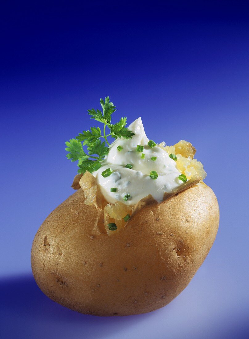 Jacket Potato with Herb Quark on Blue Background
