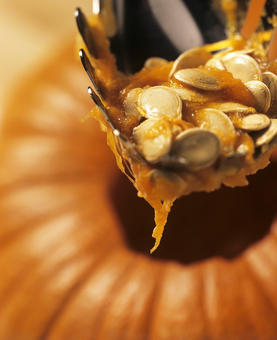 Pumpkin seeds on ladle above hollowed-out giant pumpkin