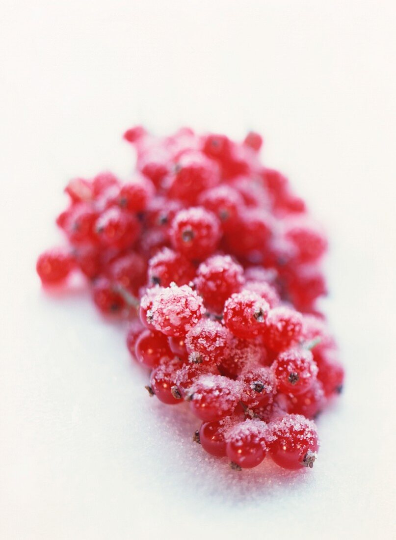 A Bunch of Red Currants with Sugar