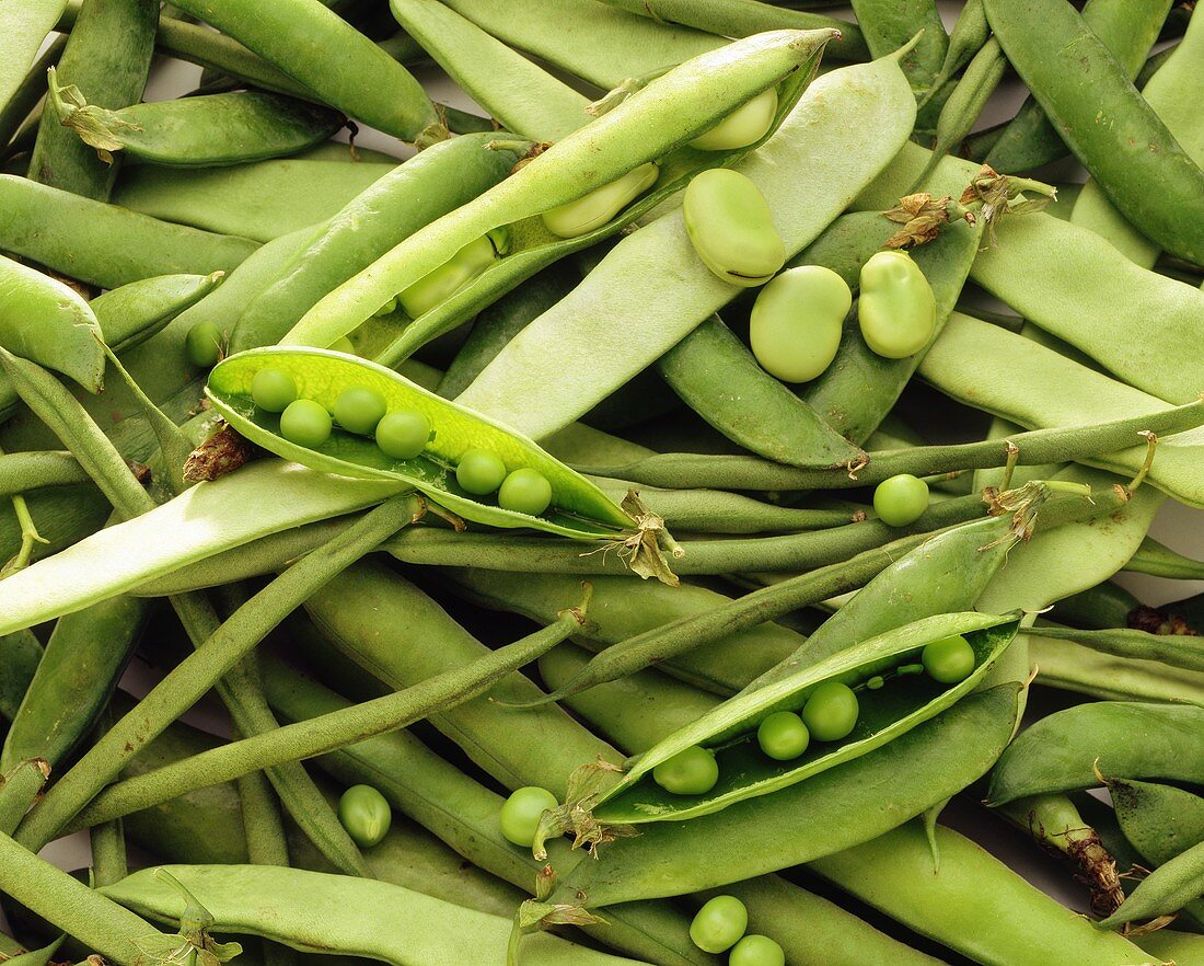 Pea Pods and Green Beans