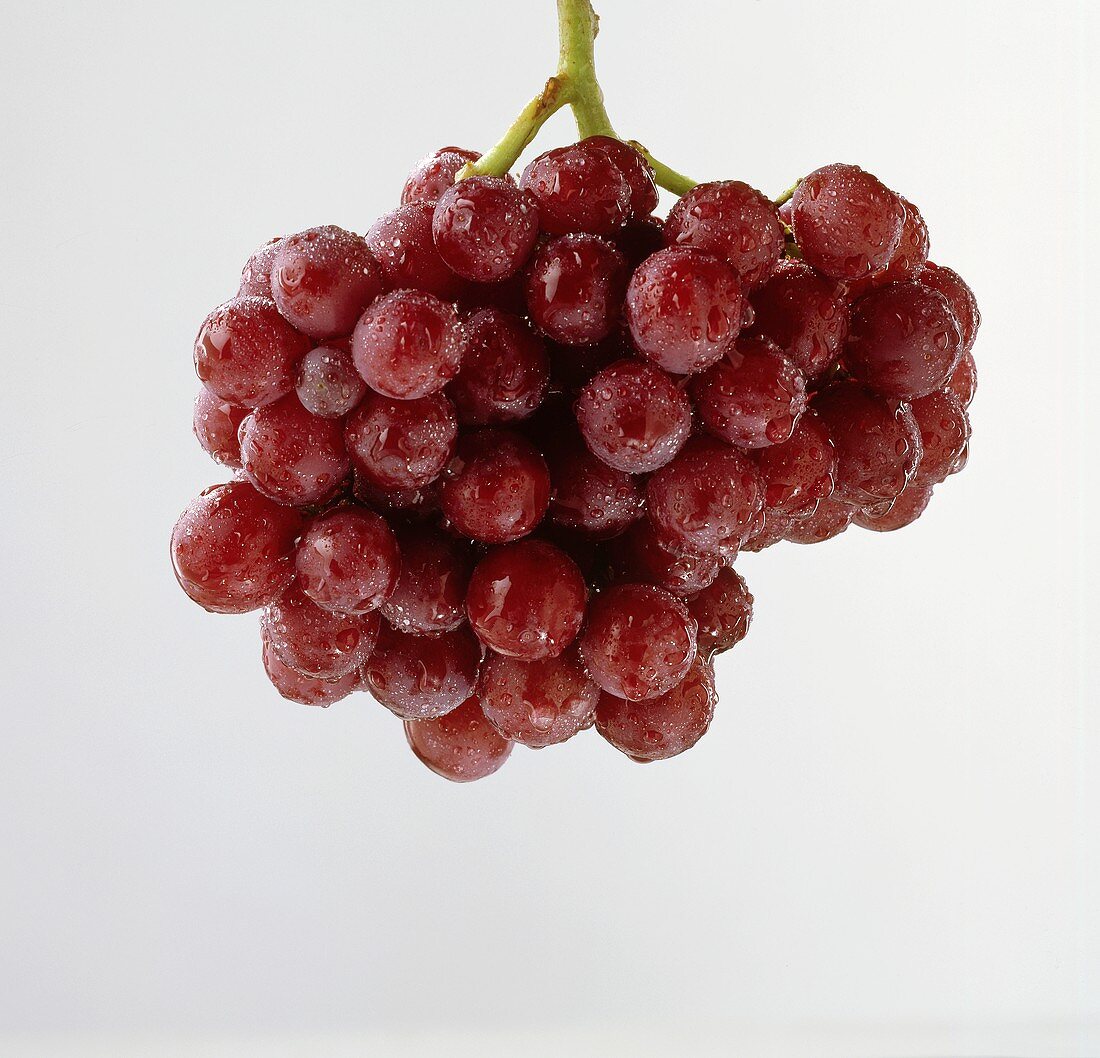 A Bunch of Wet Red Grapes