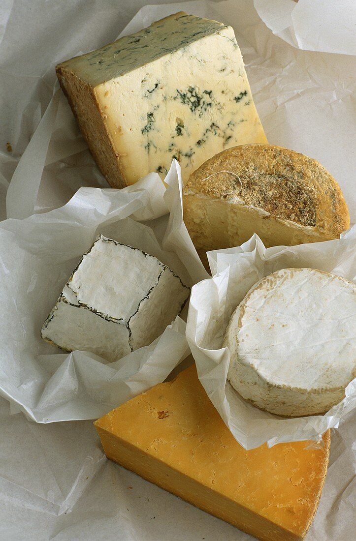 Verschiedene englische Käsesorten auf Einwickelpapier