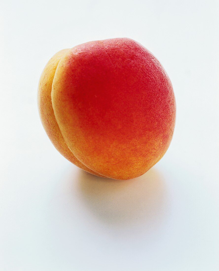 A Single Apricot
