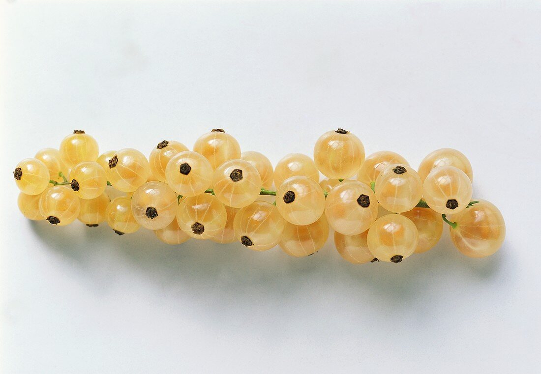 Truss of white currants on white background