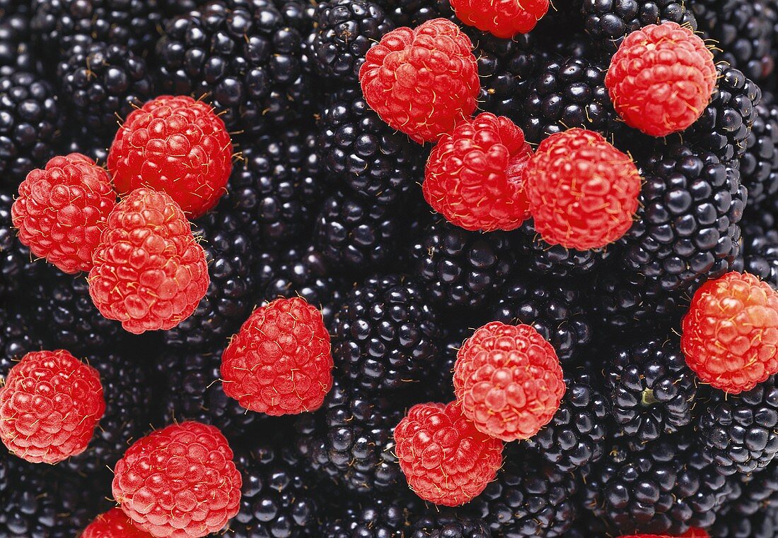 Raspberries and Blackberries
