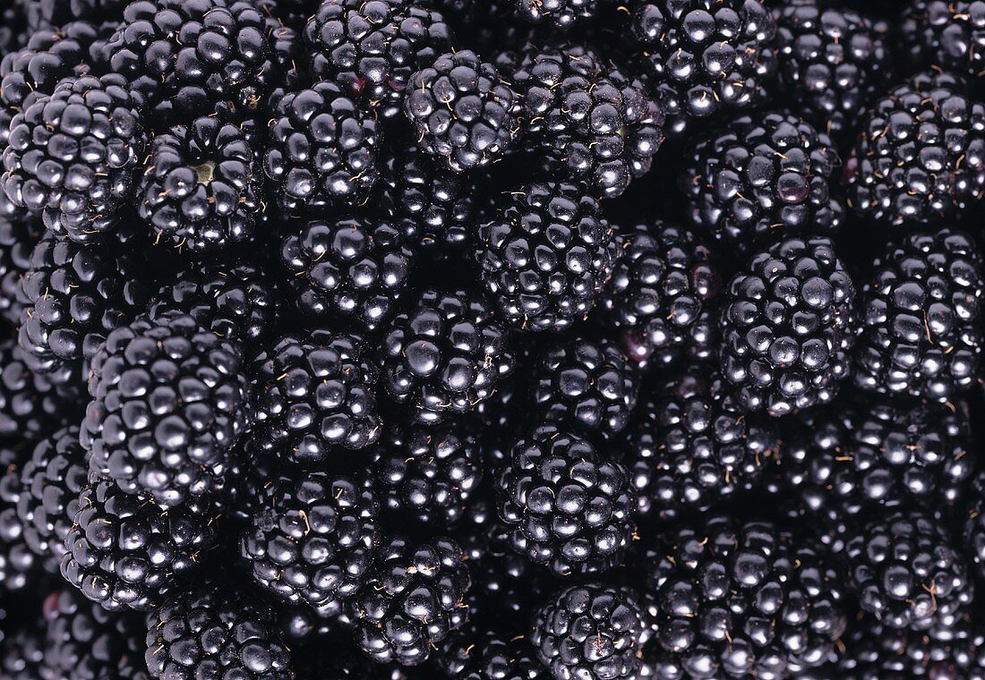 Blackberries